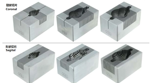 腦模具150-300G大鼠，冠狀，0.5MM